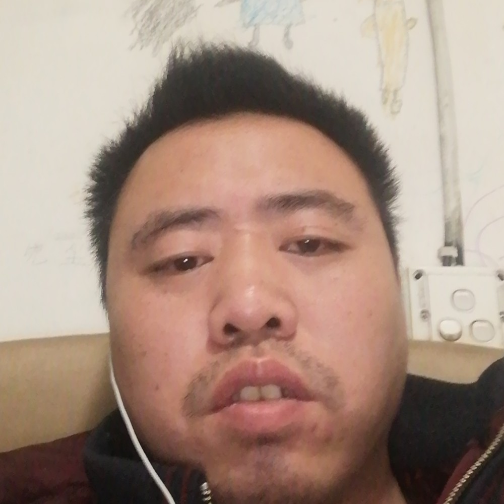 虎子5的照片