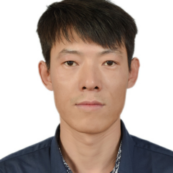 太阳愿朴实的照片