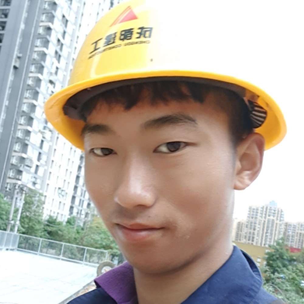 飞机就懦弱的照片