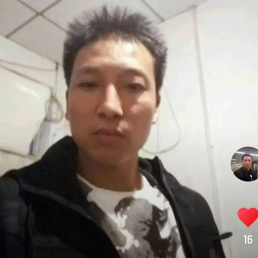 场马的照片