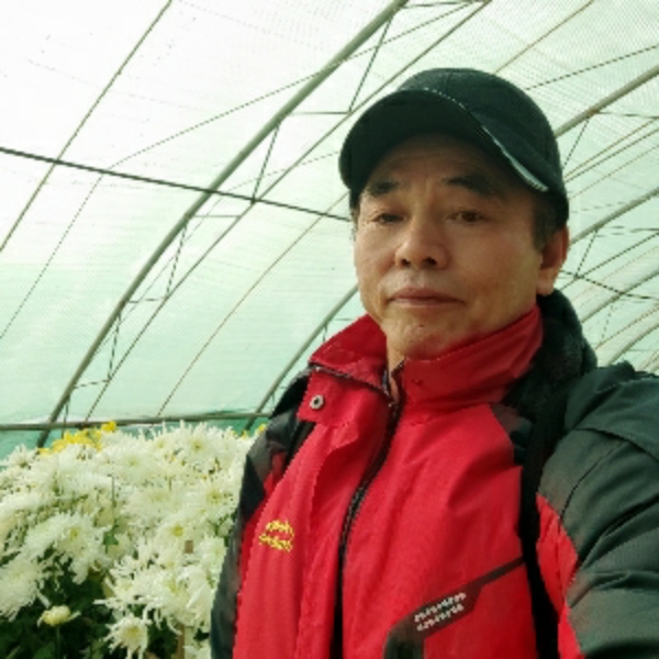 会员285994036的照片