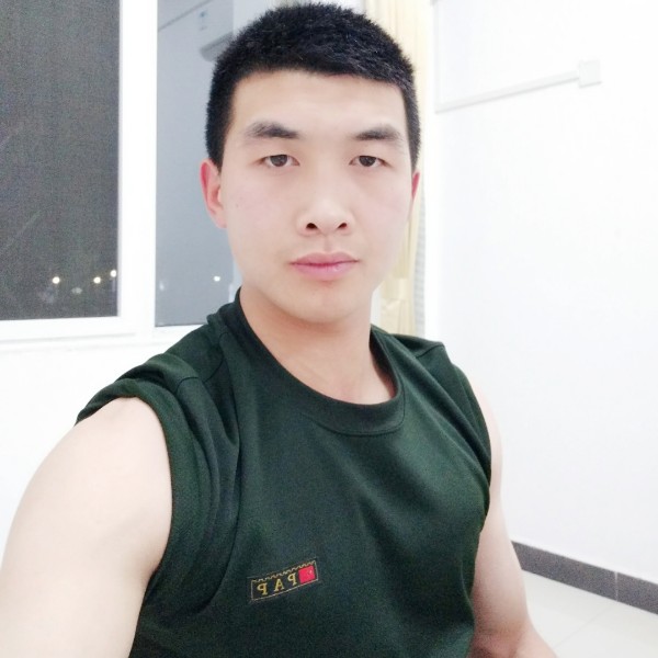 无风之树的照片