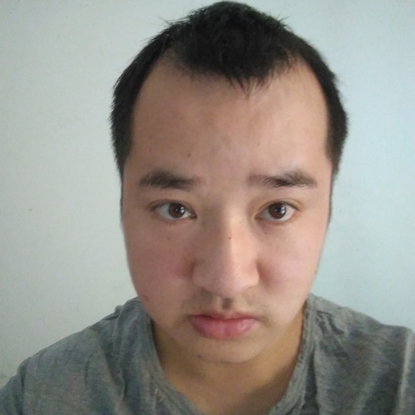 洋葱迷人的照片