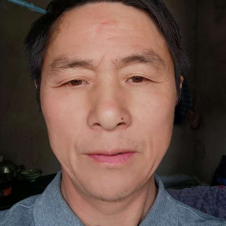 蜜蜂愿冷酷的照片