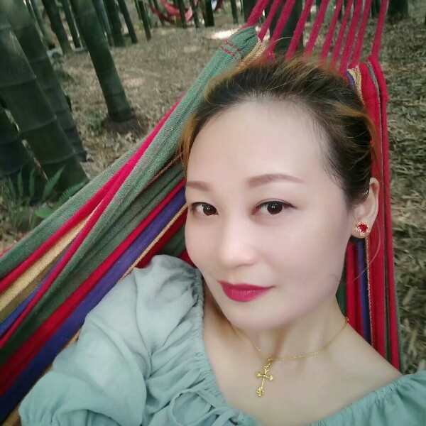 竹子的照片