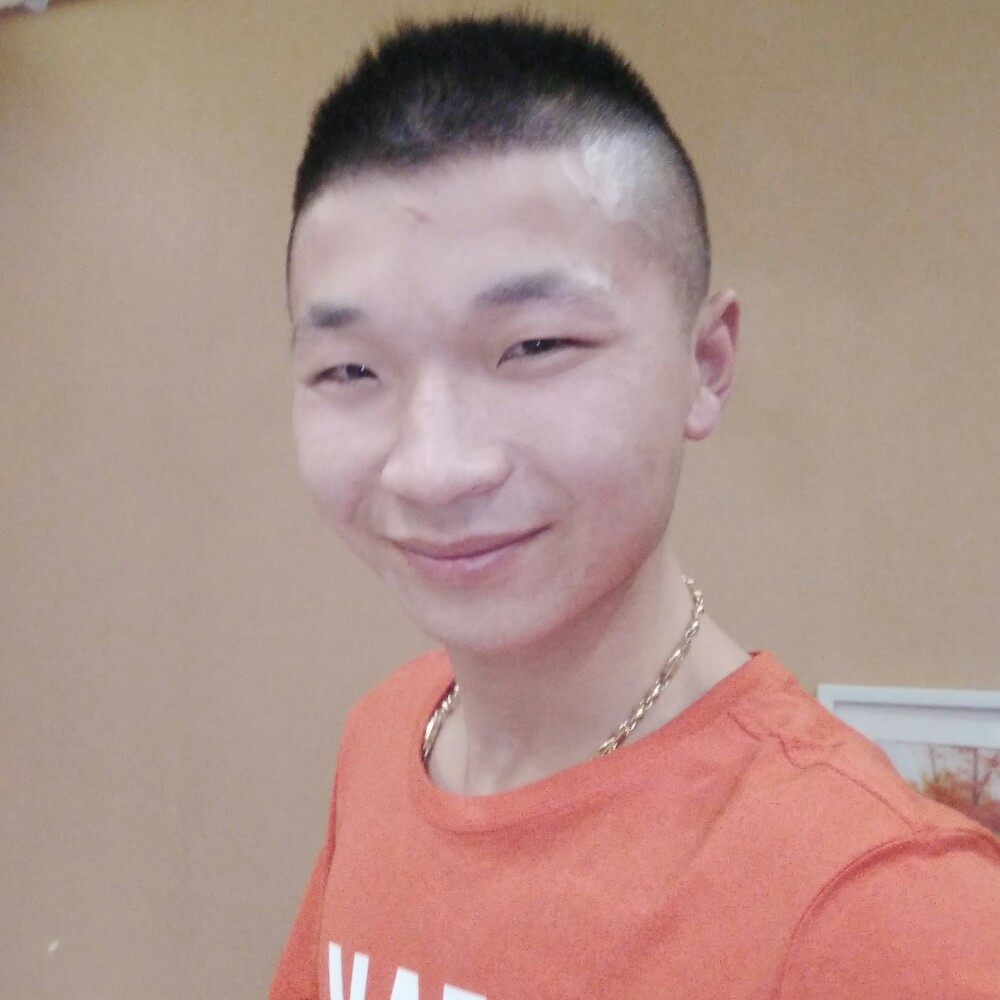 含蓄蜗牛的照片