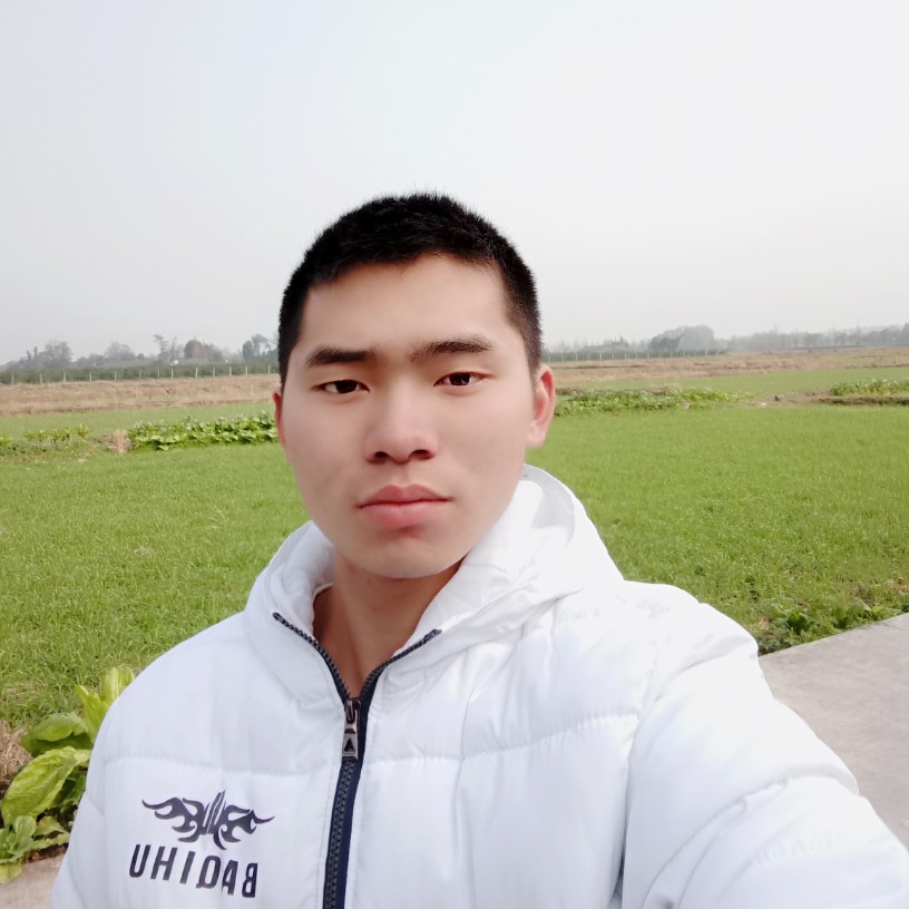 清爽绝影的照片