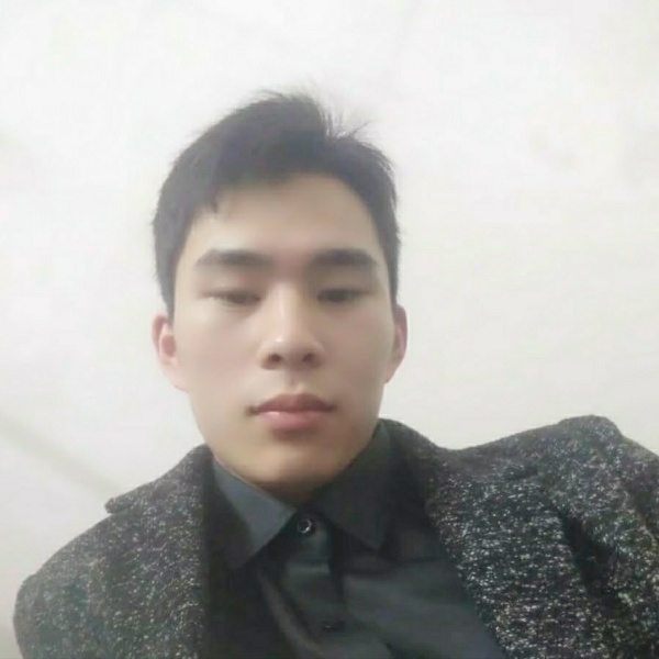 多么完美的野狼的照片