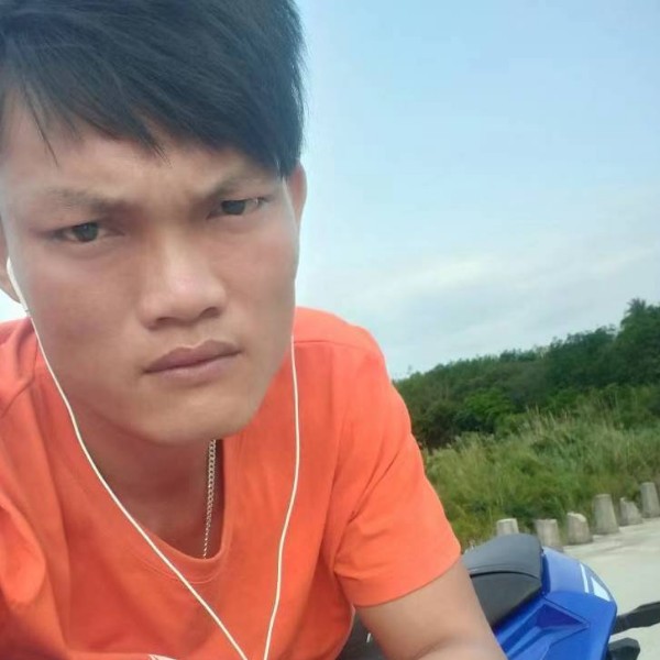 义气给灰狼的照片