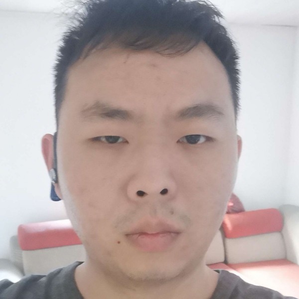 草丛清秀的照片