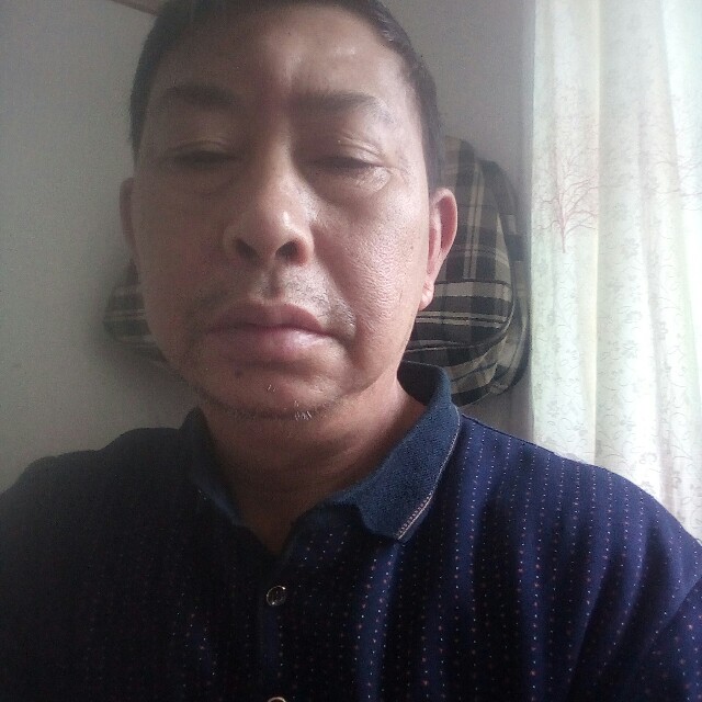 高贵黄豆的照片