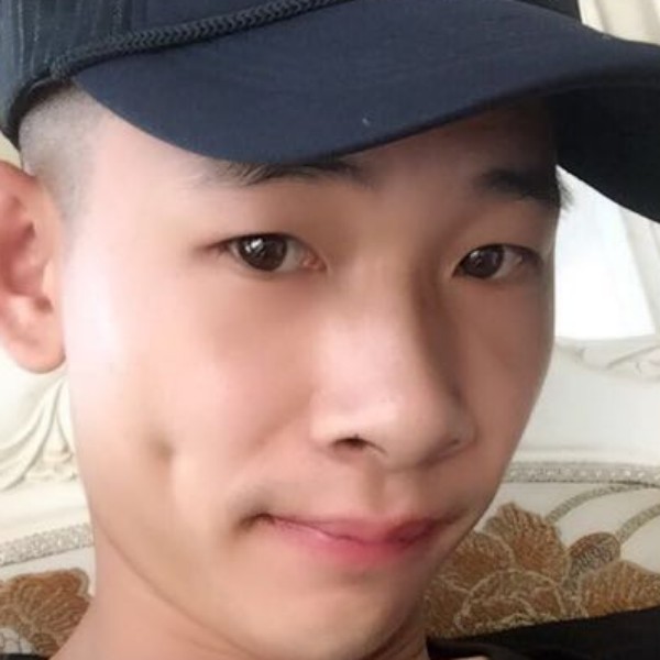輝鴿的照片