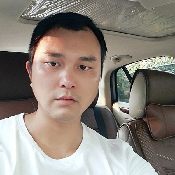飞鸟苗条的照片