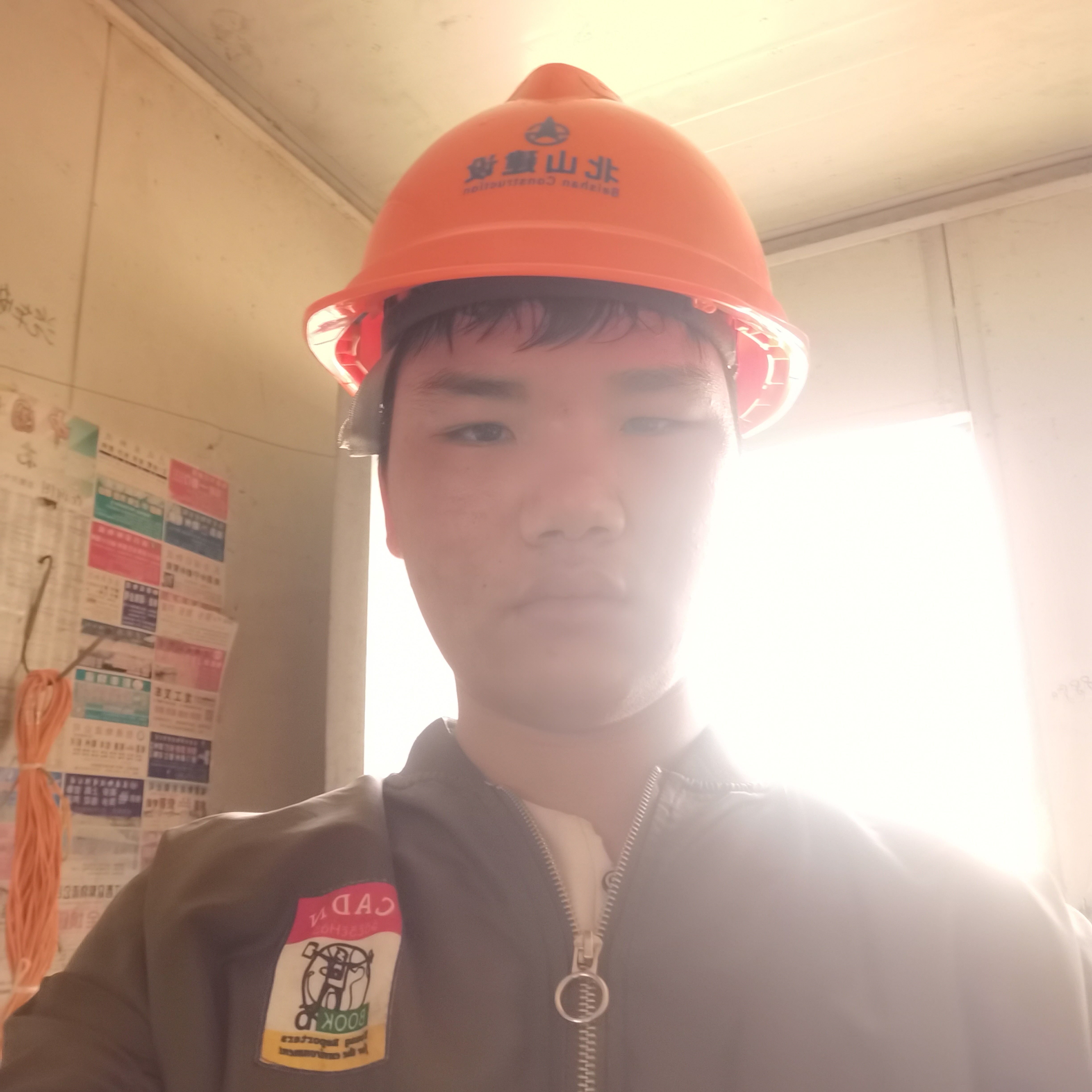 啤酒吃醋悲凉的照片