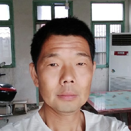 甜美方羊的照片