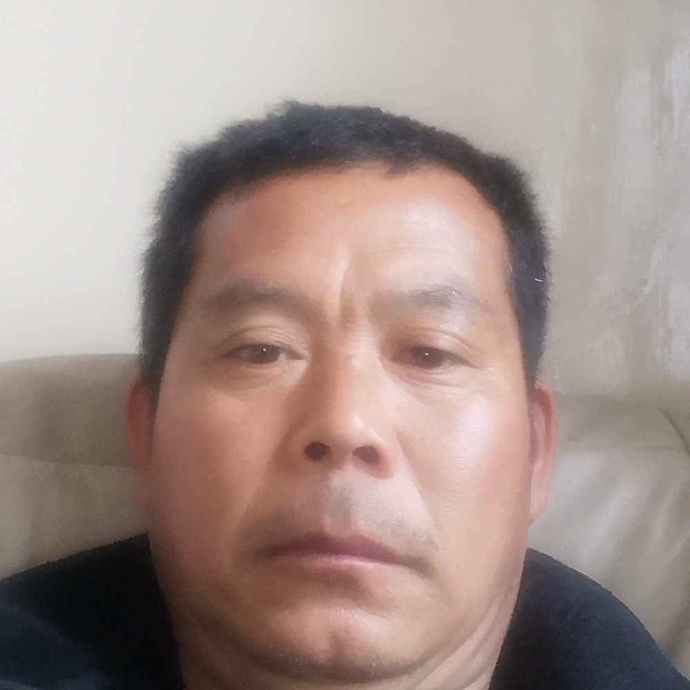 文艺拾忆小刺猬的照片