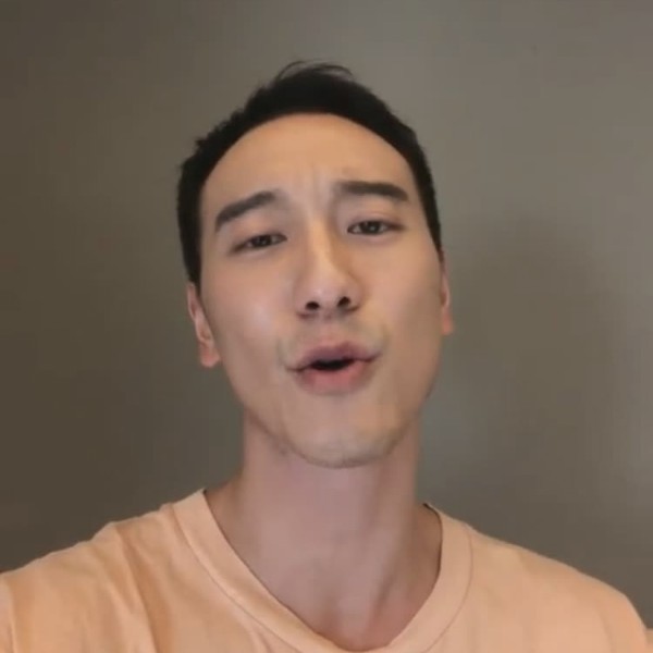 结实大雁的照片