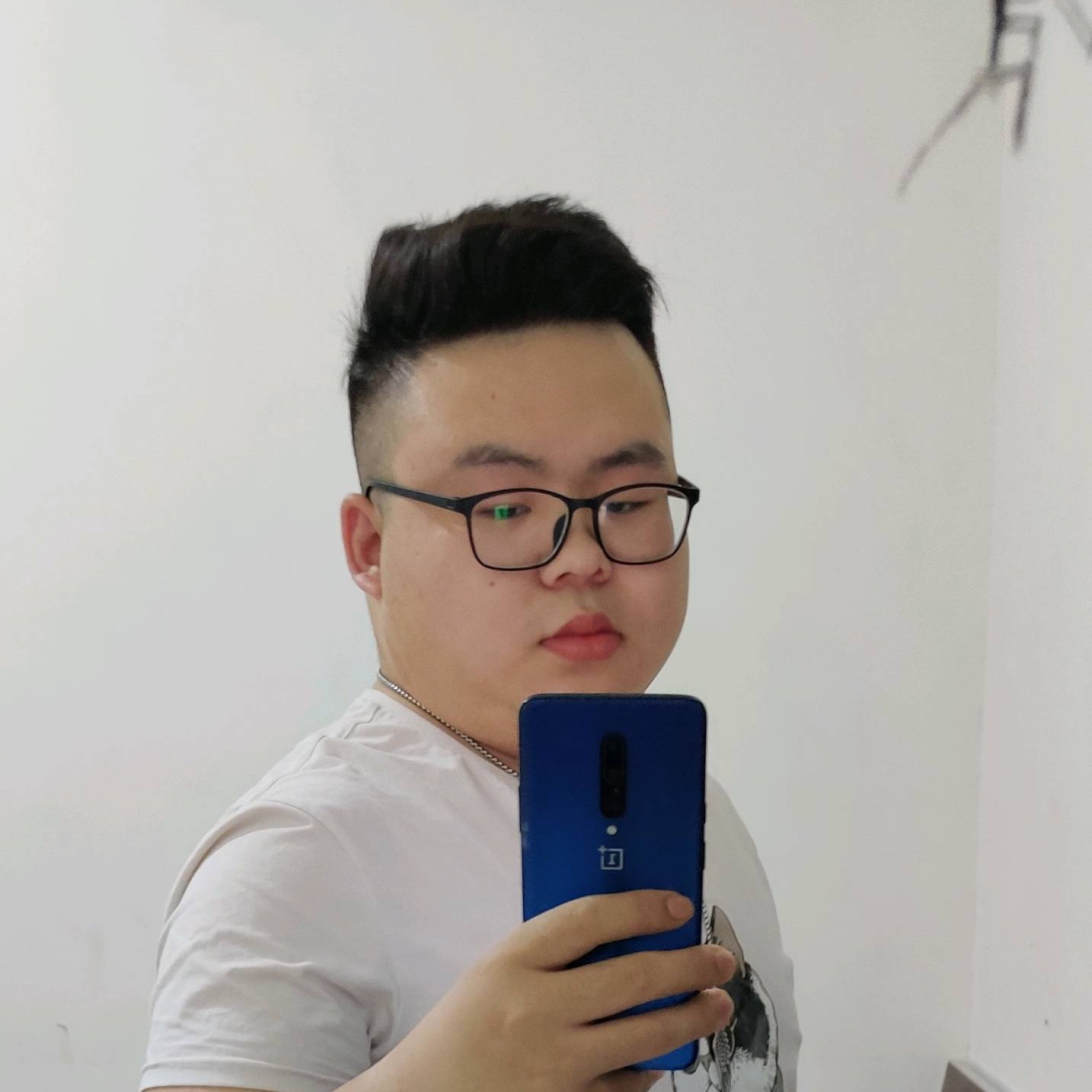 明亮愿金毛的照片