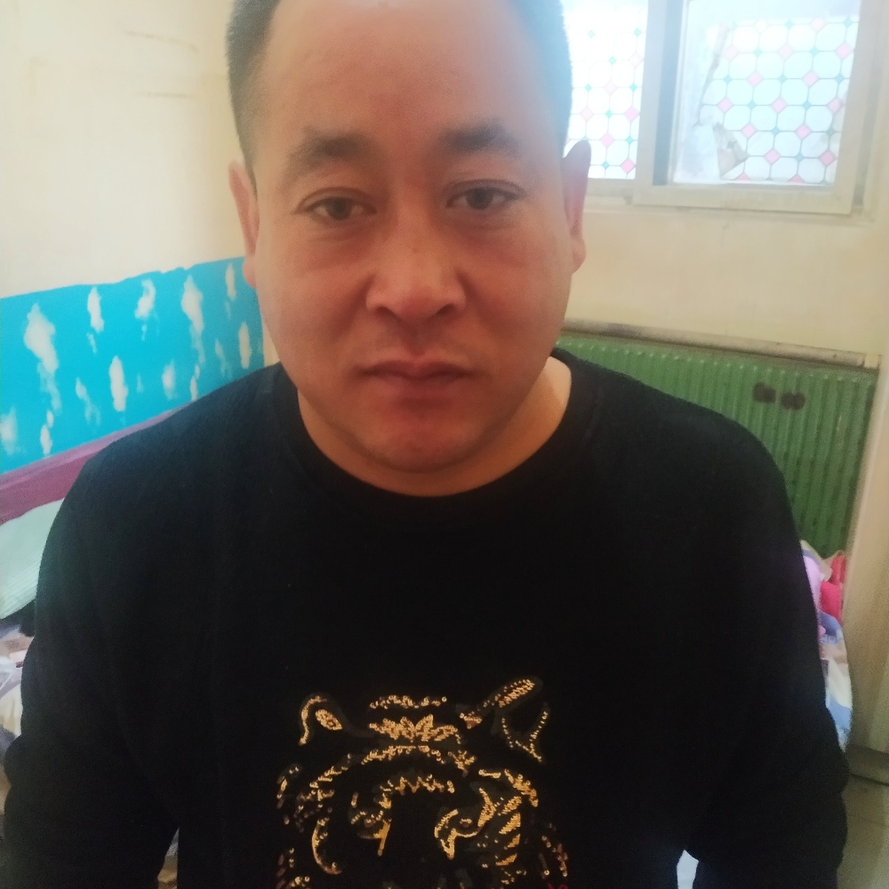 龙的飞翔的照片
