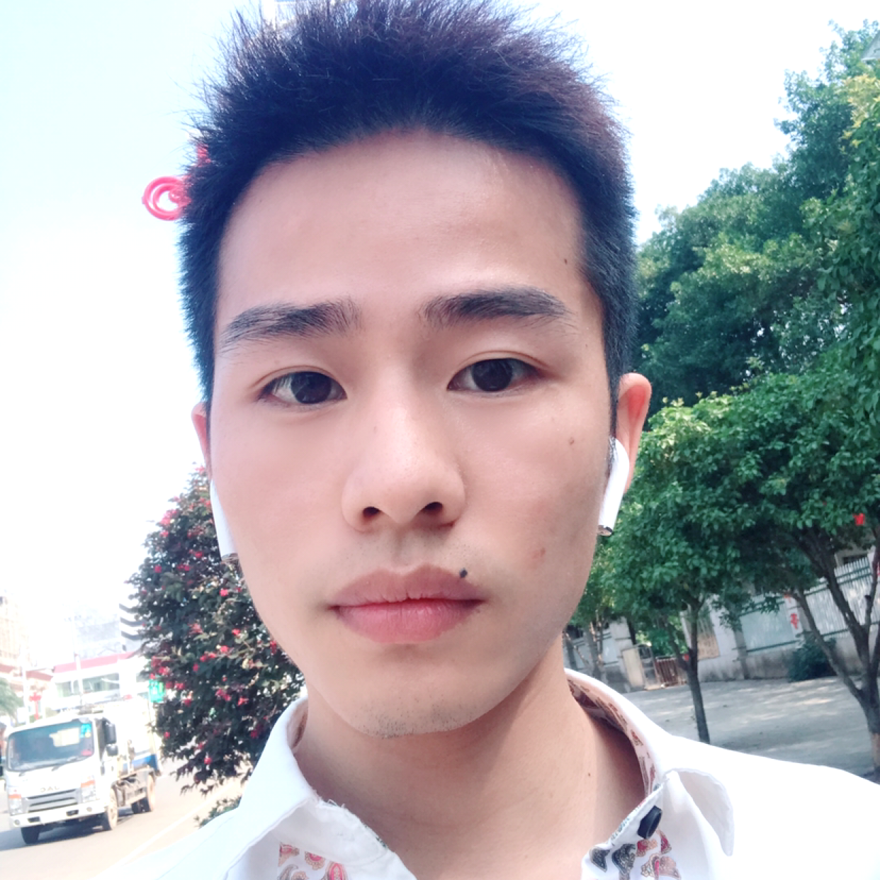 洋葱与黯然的照片