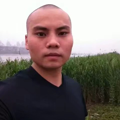 禅的照片