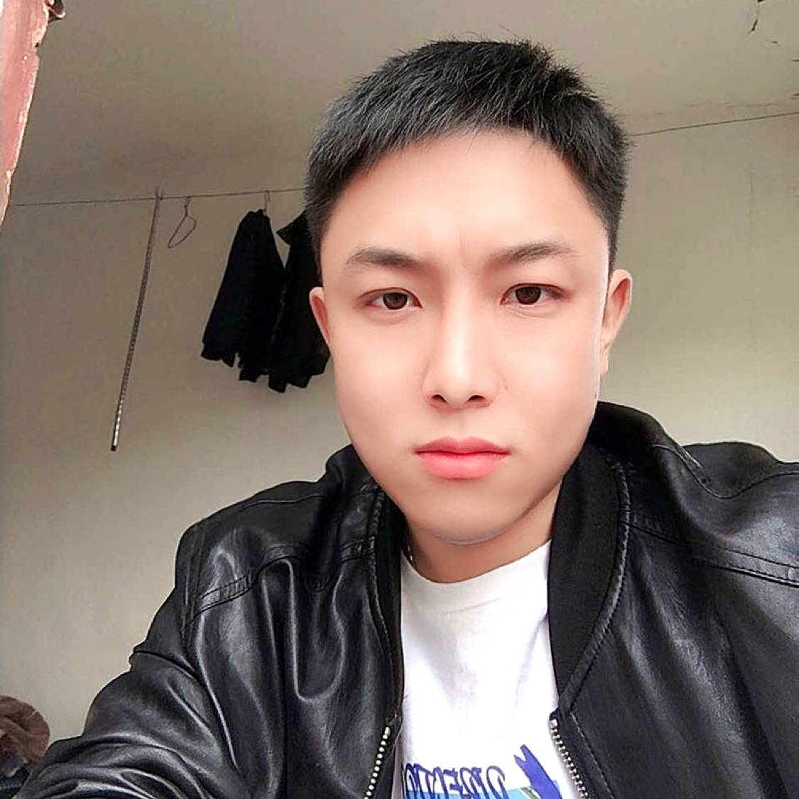 流年的漫步老鼠的照片