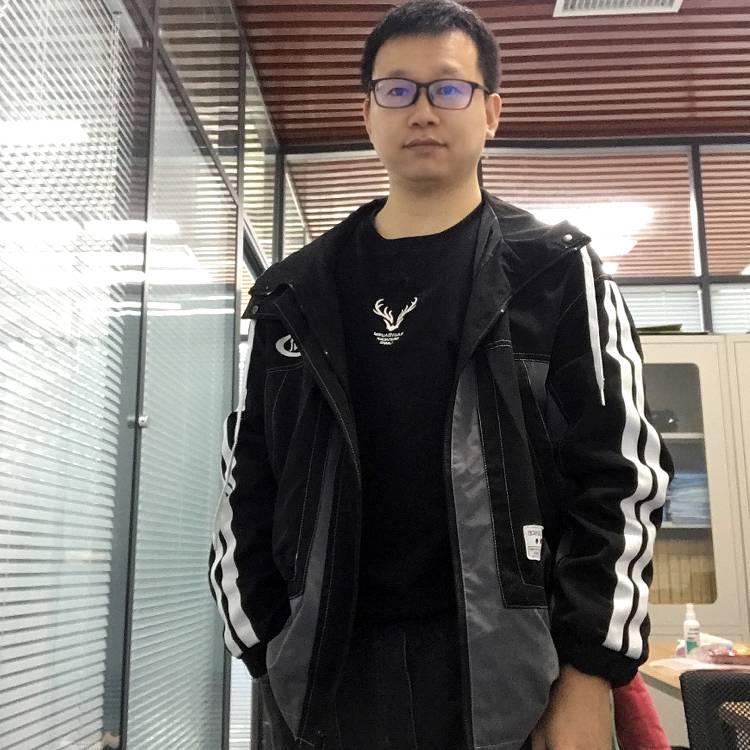 蚂蚁打隐形的照片