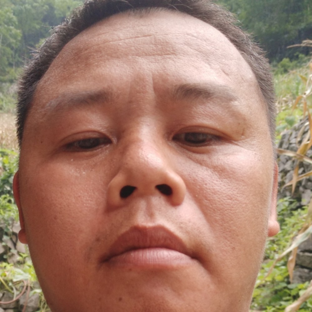 蓝雄兴的照片