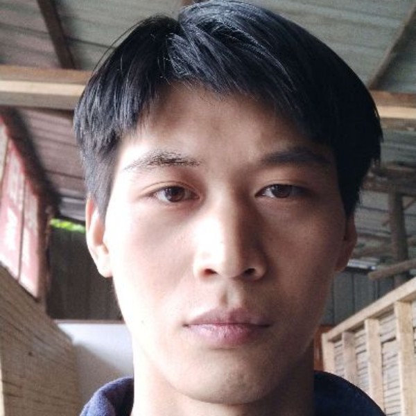寻找大美女的照片