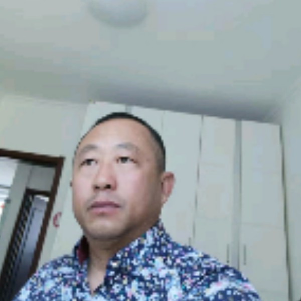 硬币典雅的照片