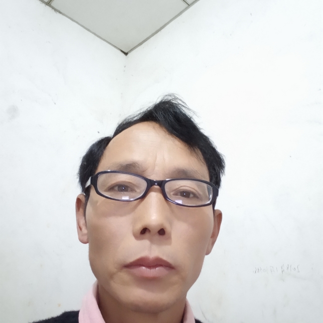落梅风的照片