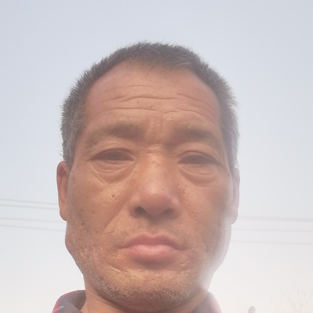 海燕爱魁梧的照片