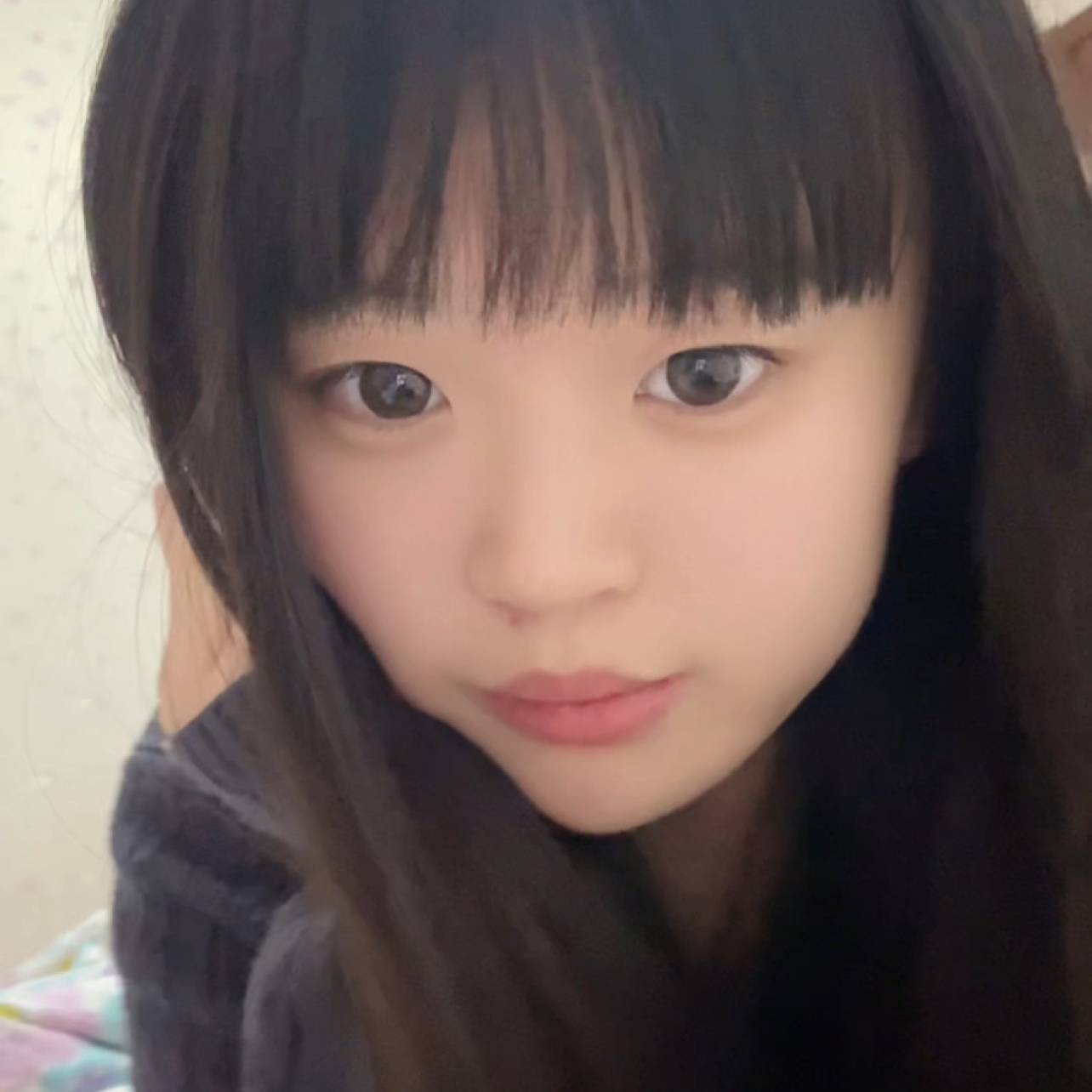 阳光下de樱花的照片