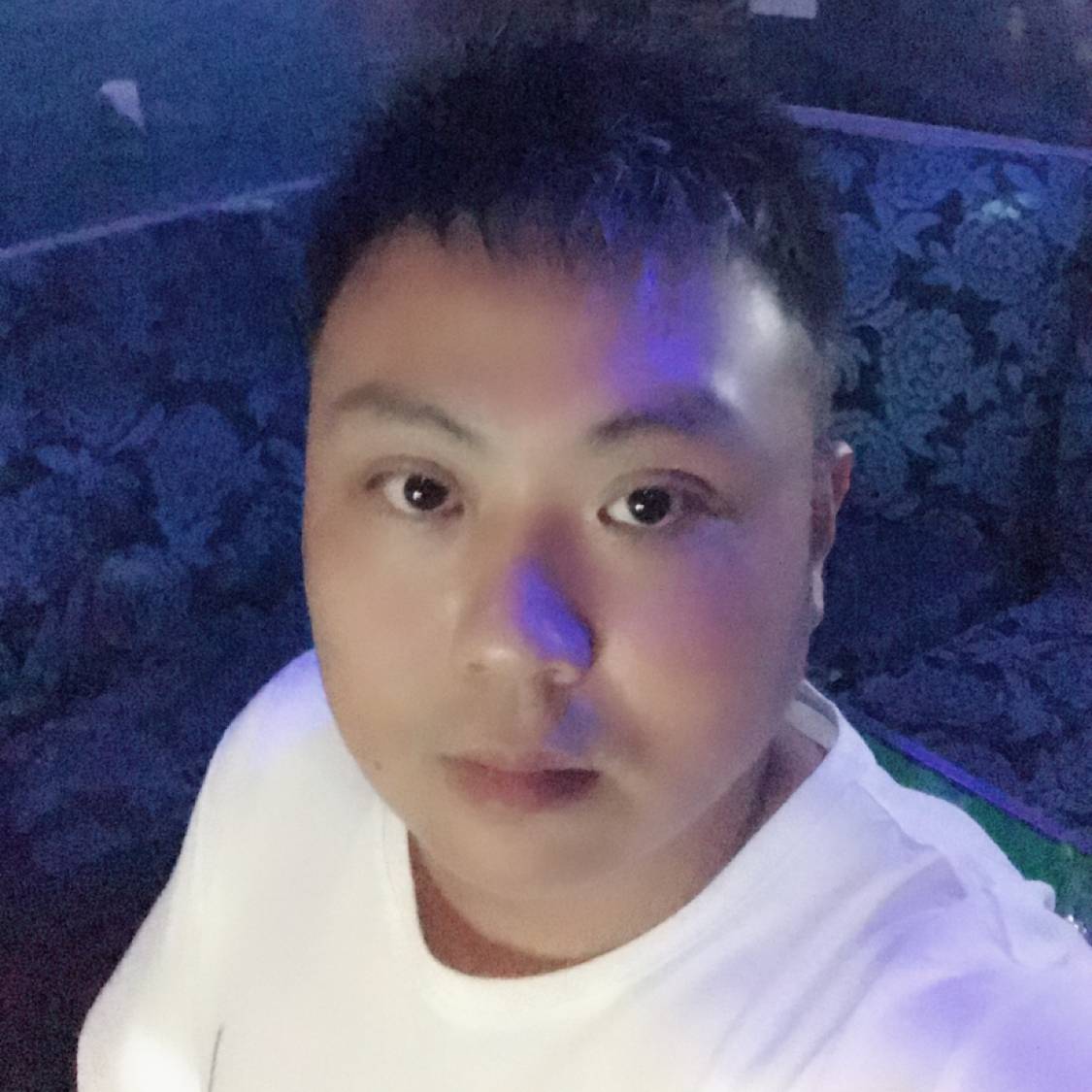 ミ爁︷木頭的照片