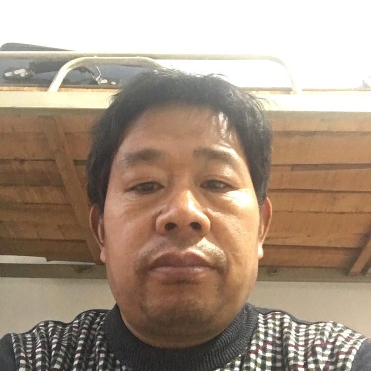 单薄的饼干的照片
