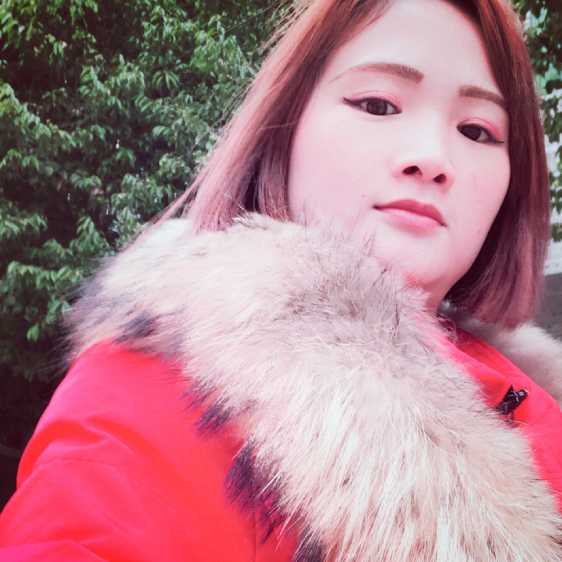 迷路等待奇异果的照片
