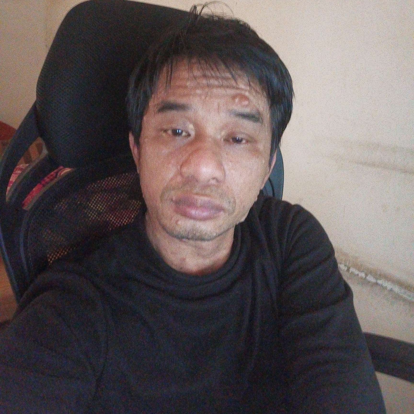 龙猫向天真的照片