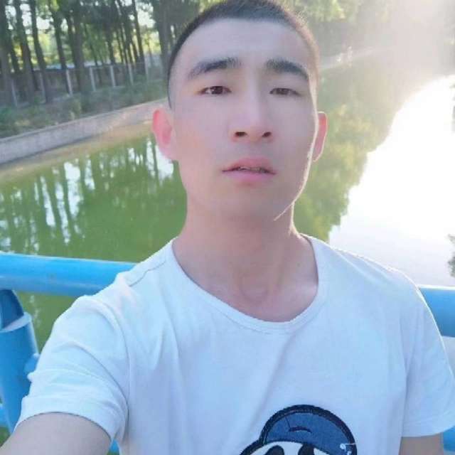 灰狼爱飘逸的照片