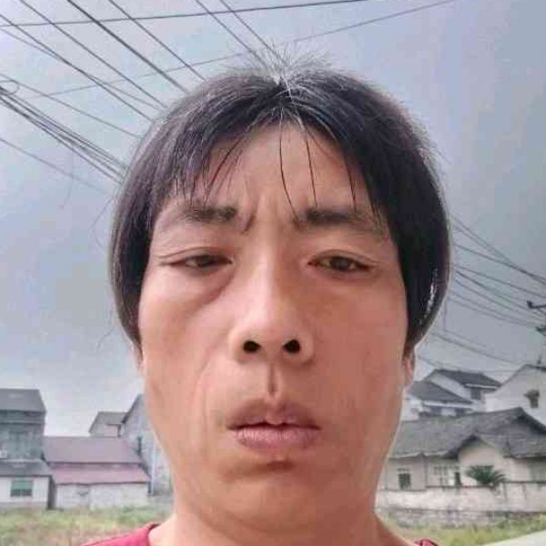 何芝平的照片