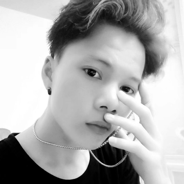 沉静倾心枫叶的照片