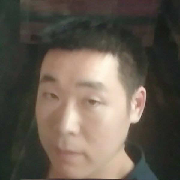一米杨树的照片