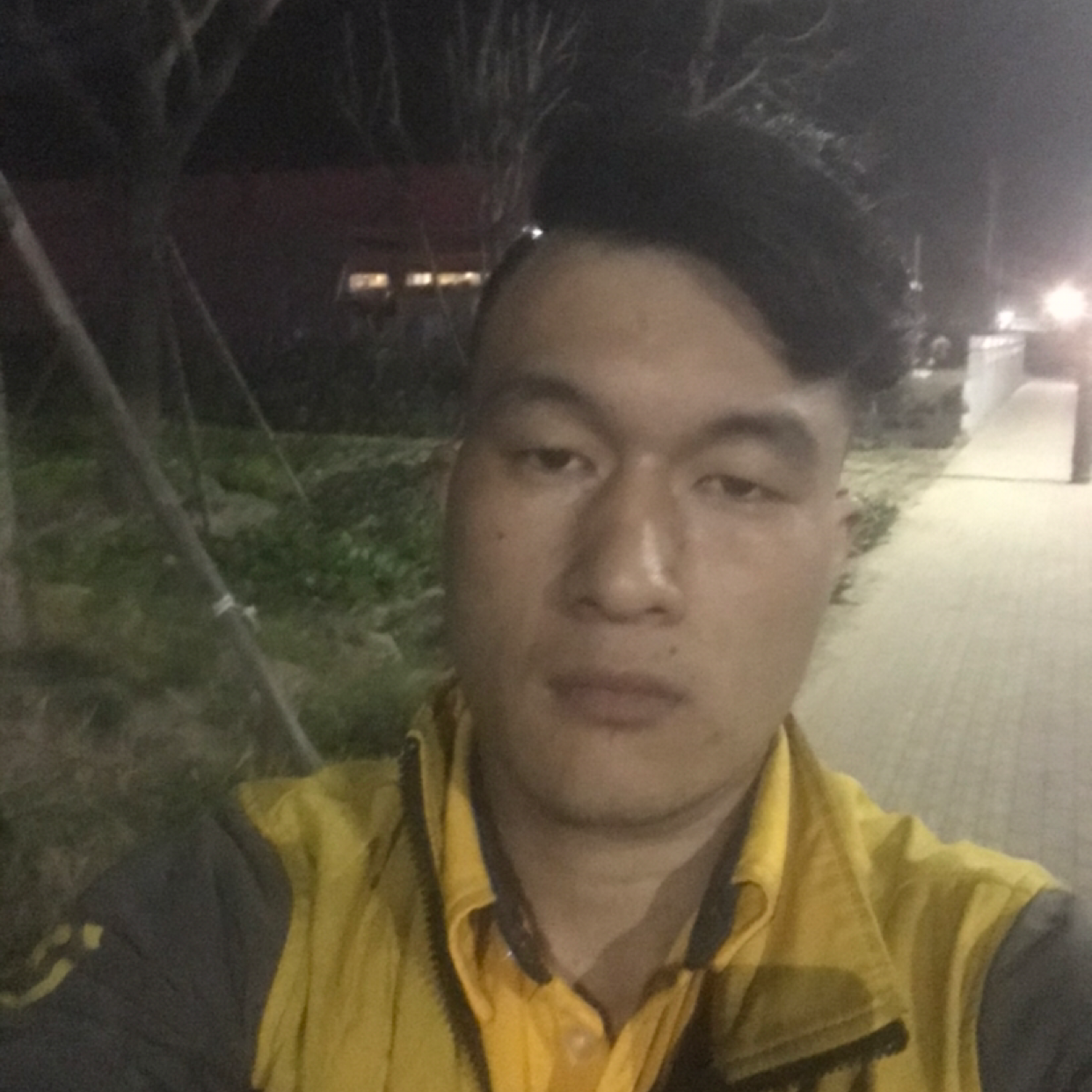 优美拿黄蜂的照片