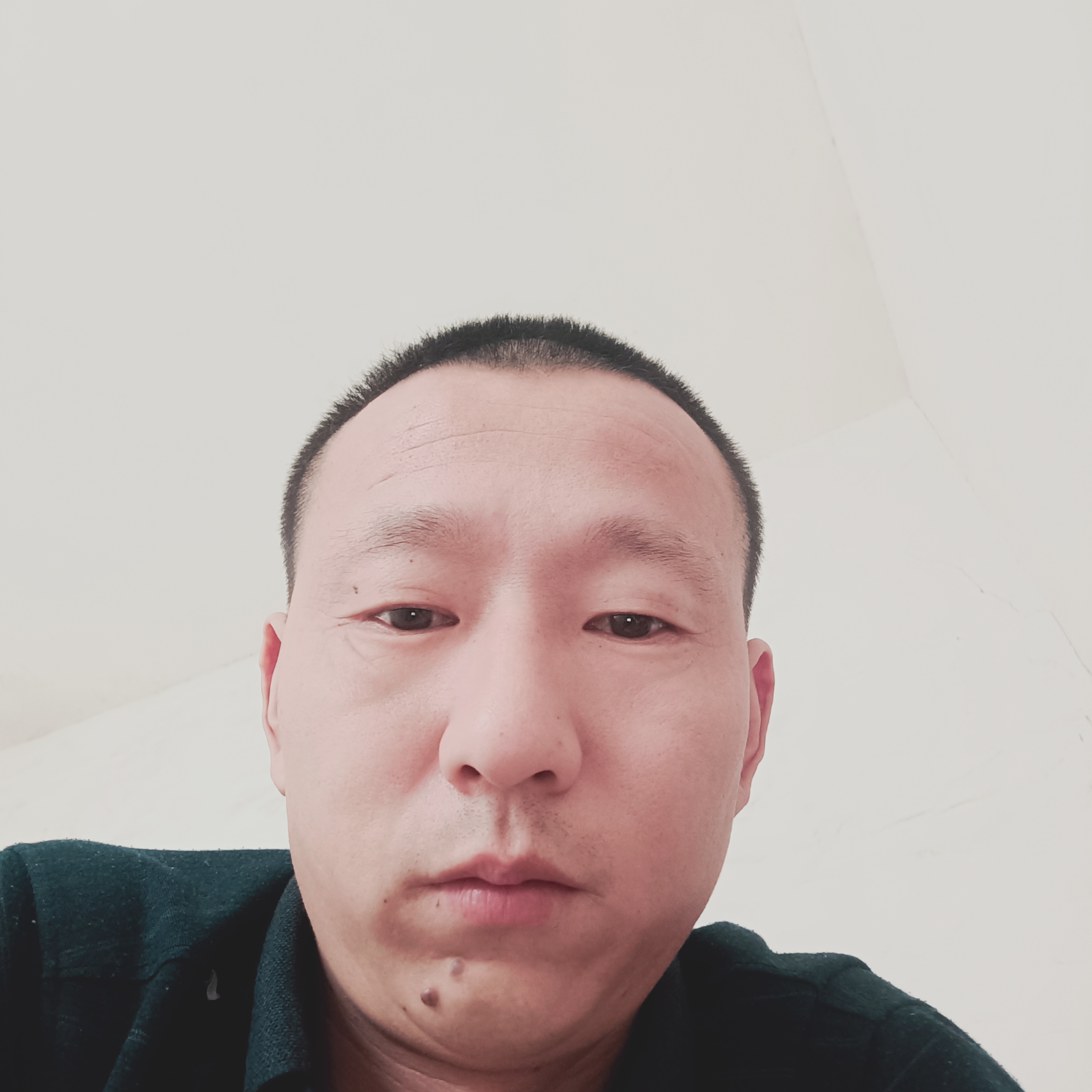 辛勤泪了曲奇的照片