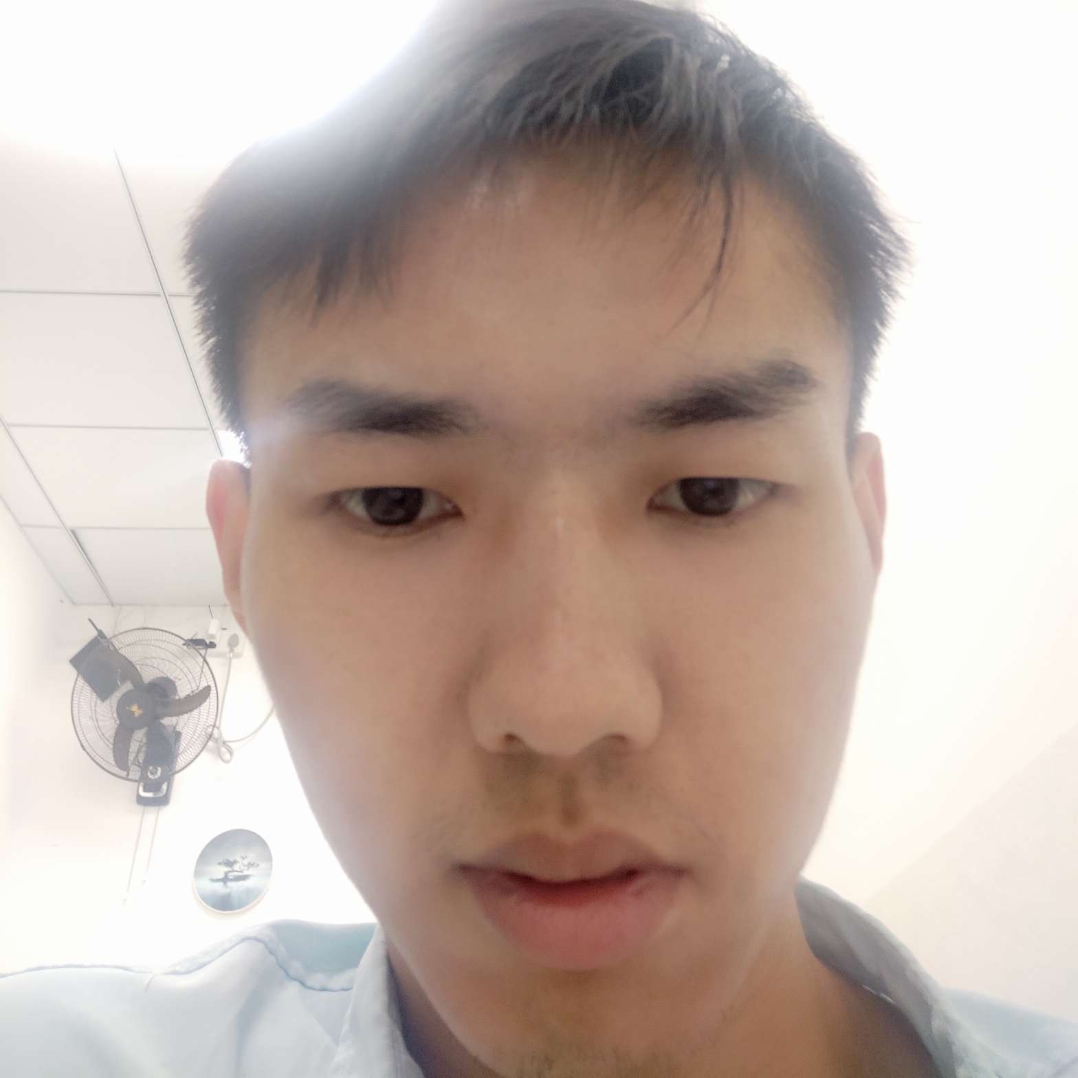 红尘 ~登剑阁的照片