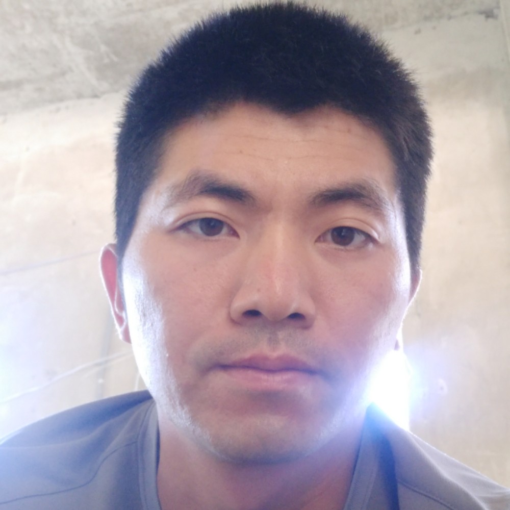 糊涂长颈鹿的照片