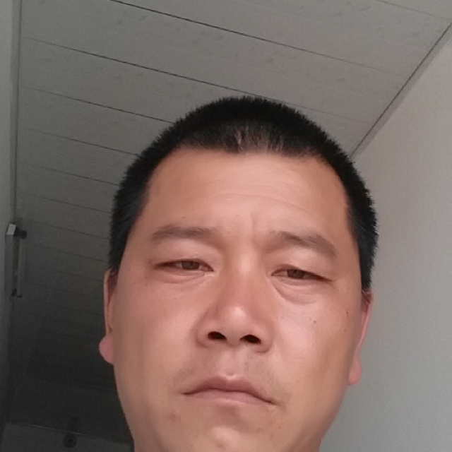 激动用荷花的照片