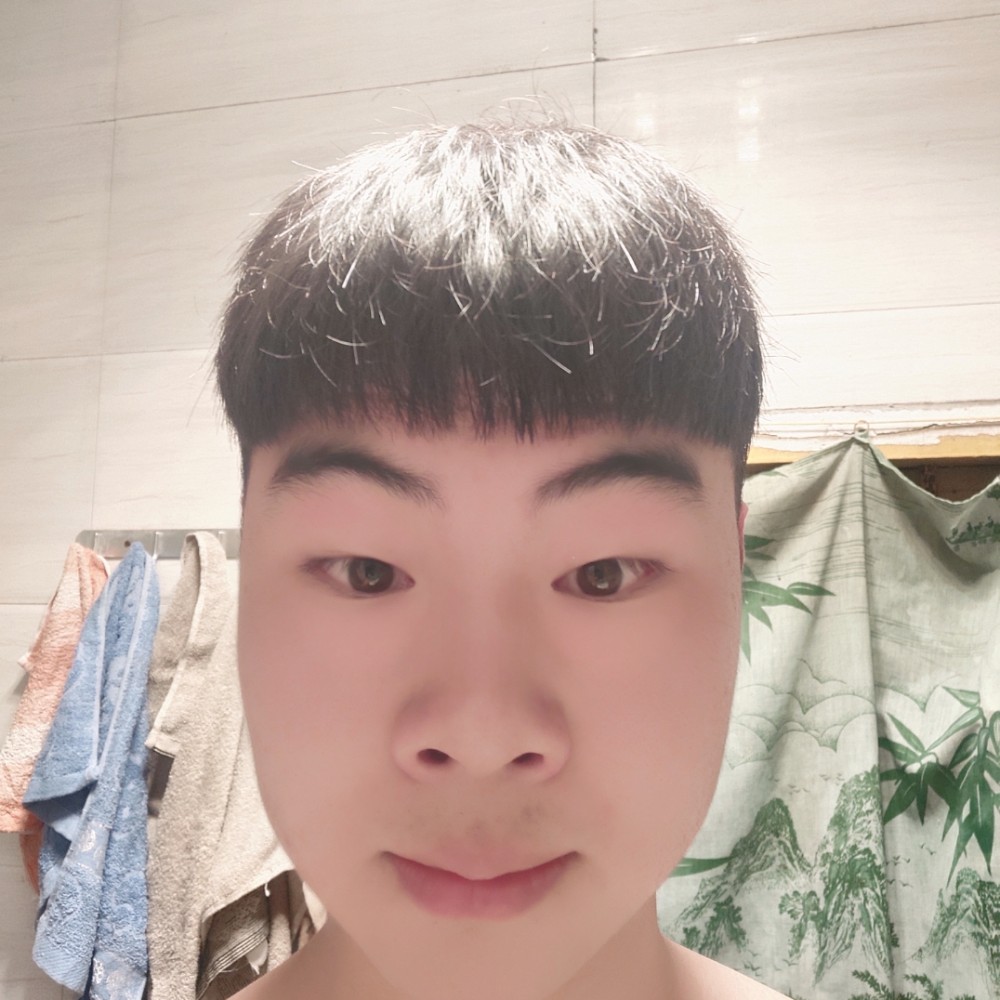 冷艳爱恋小海豚的照片