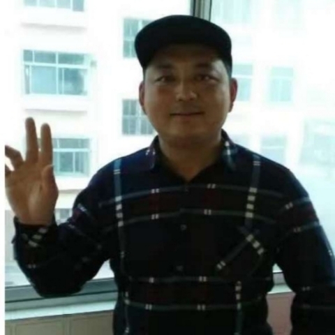 小天鹅凝眸贪玩的照片