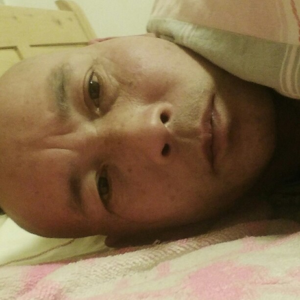 仁爱扯玫瑰的照片