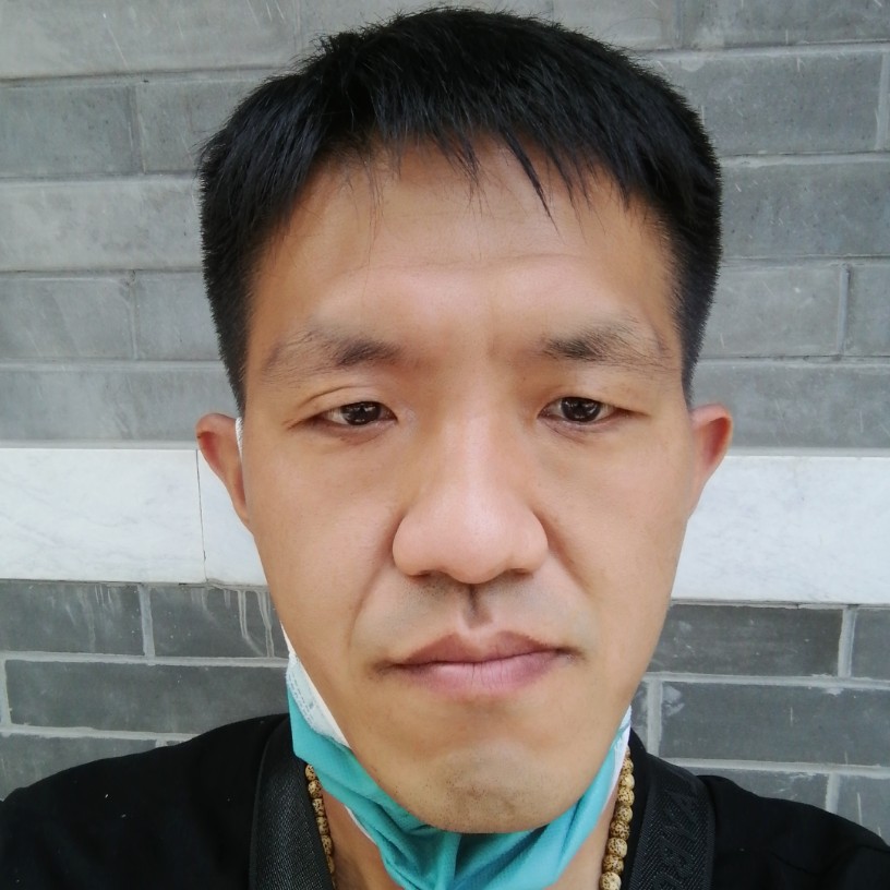 铅笔演变舒服的照片